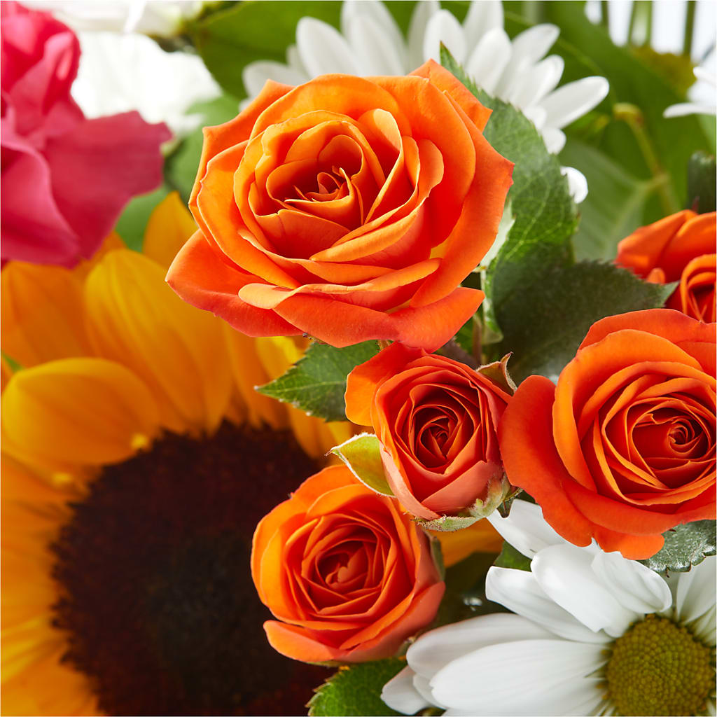 Sun-drenched Blooms Bouquet –  Garlington Florist, New Bedford MA