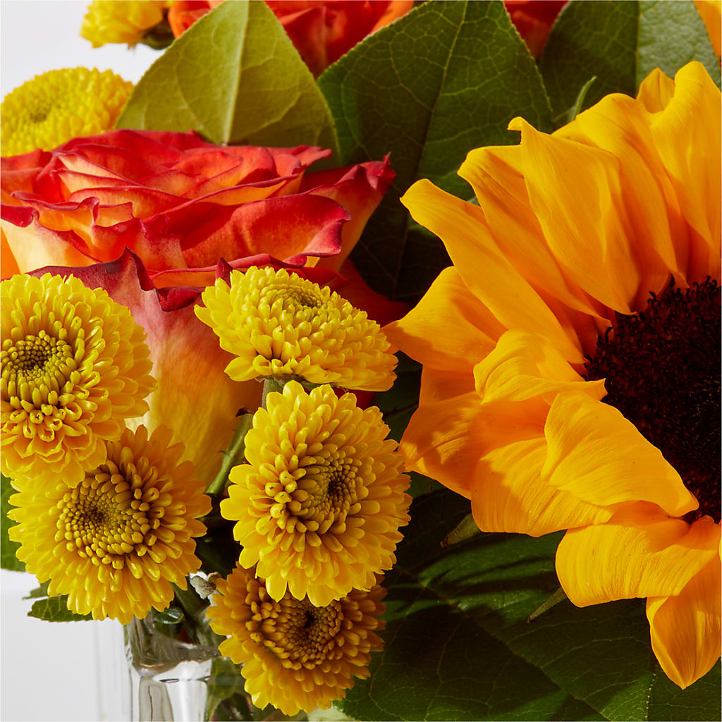 Picnic in the Park Bouquet –  Garlington Florist, New Bedford MA