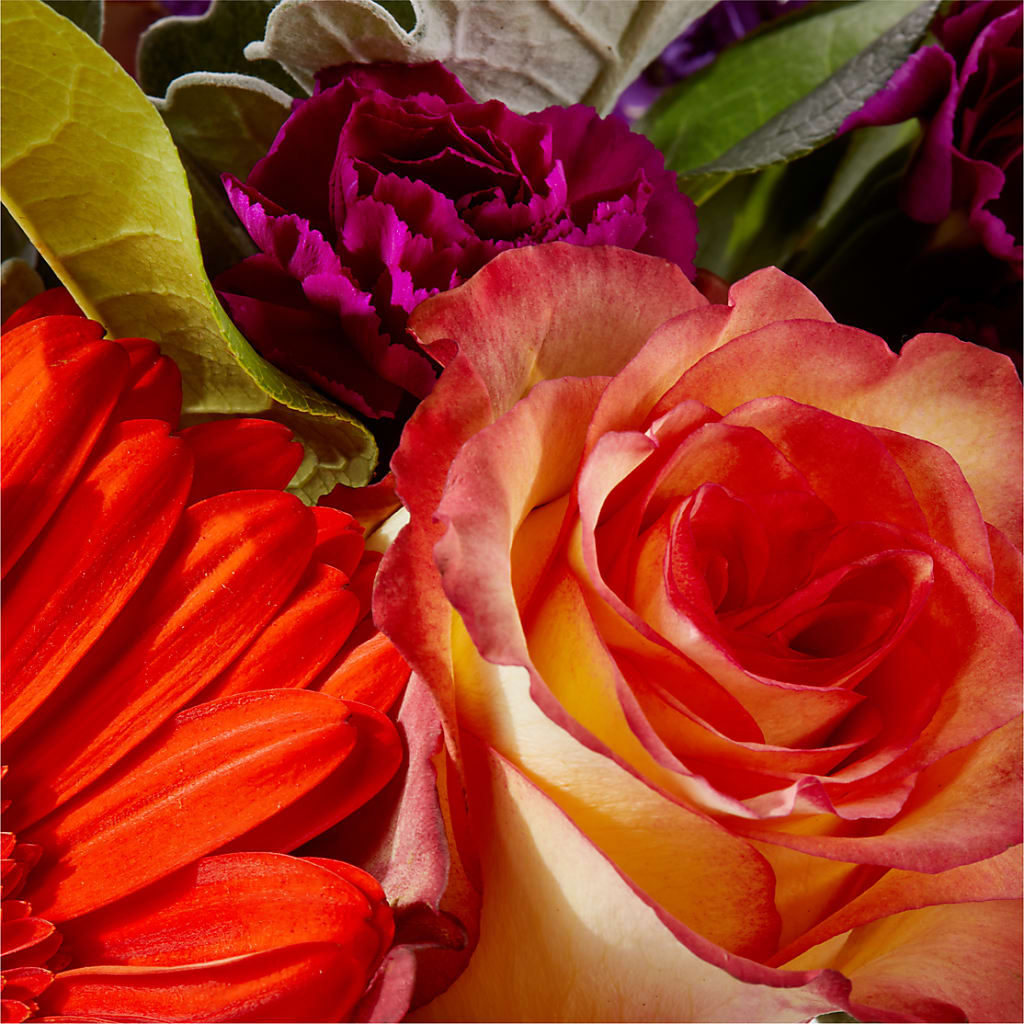 Sangria Bouquet –  Garlington Florist, New Bedford MA