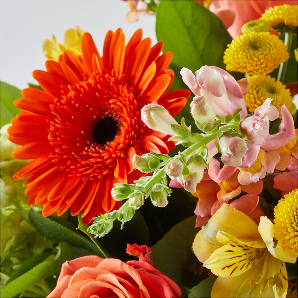 Autumn Sunshine Bouquet –  Garlington Florist, New Bedford MA