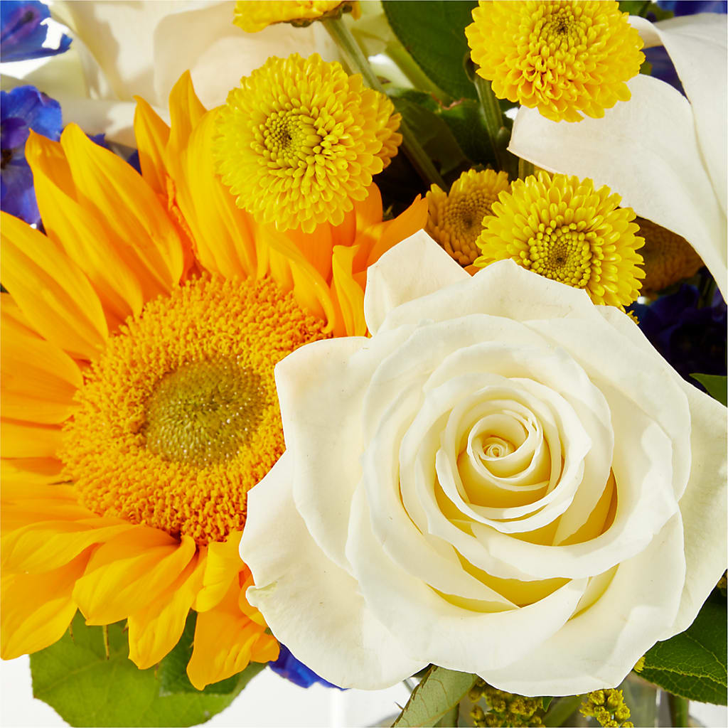 Stargazing Bouquet –  Garlington Florist, New Bedford MA