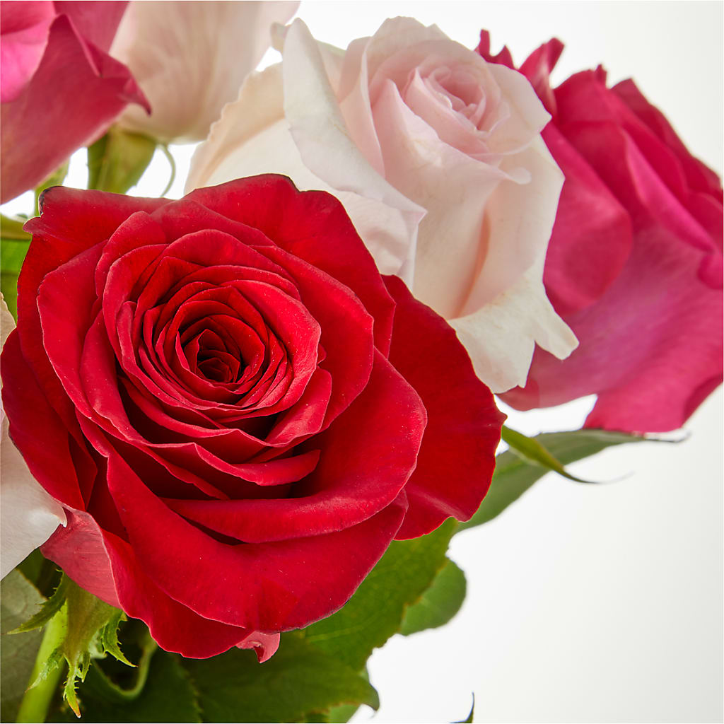 Charming Rose Bouquet –  Garlington Florist, New Bedford MA