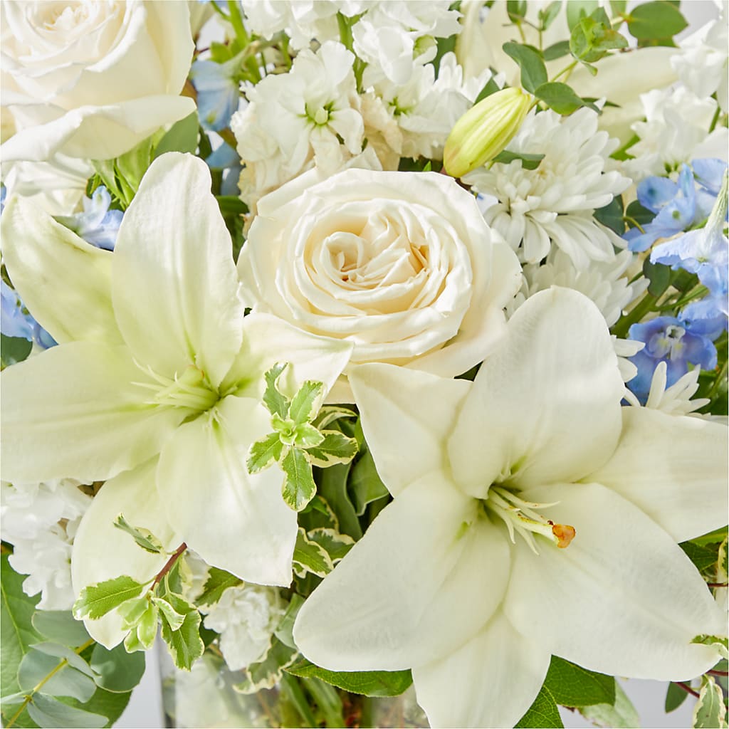 Peace of Mind Bouquet –  Garlington Florist, New Bedford MA