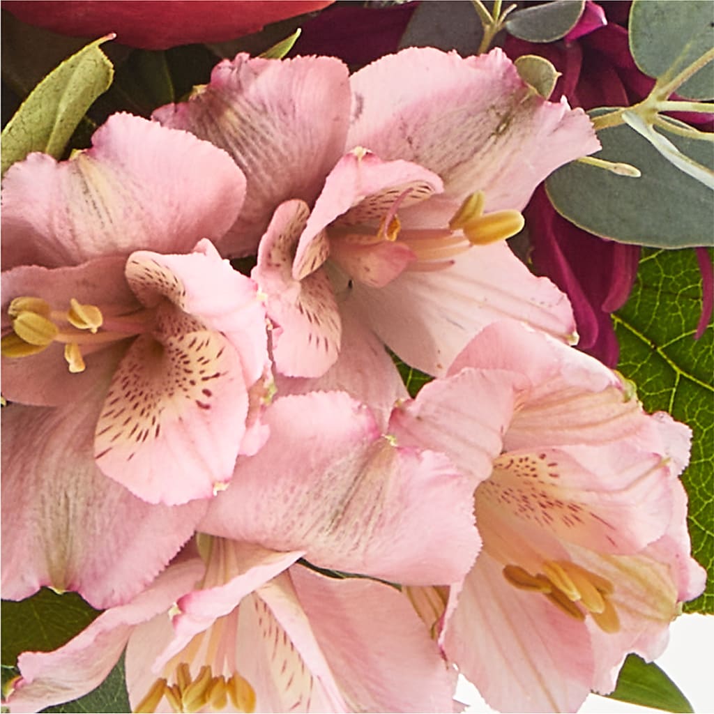Berry Cobbler Bouquet –  Garlington Florist, New Bedford MA