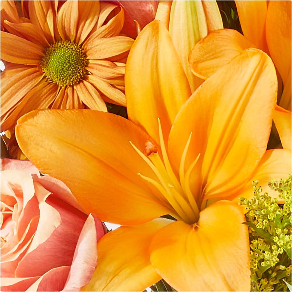 Harvest Hayride Bouquet –  Garlington Florist, New Bedford MA