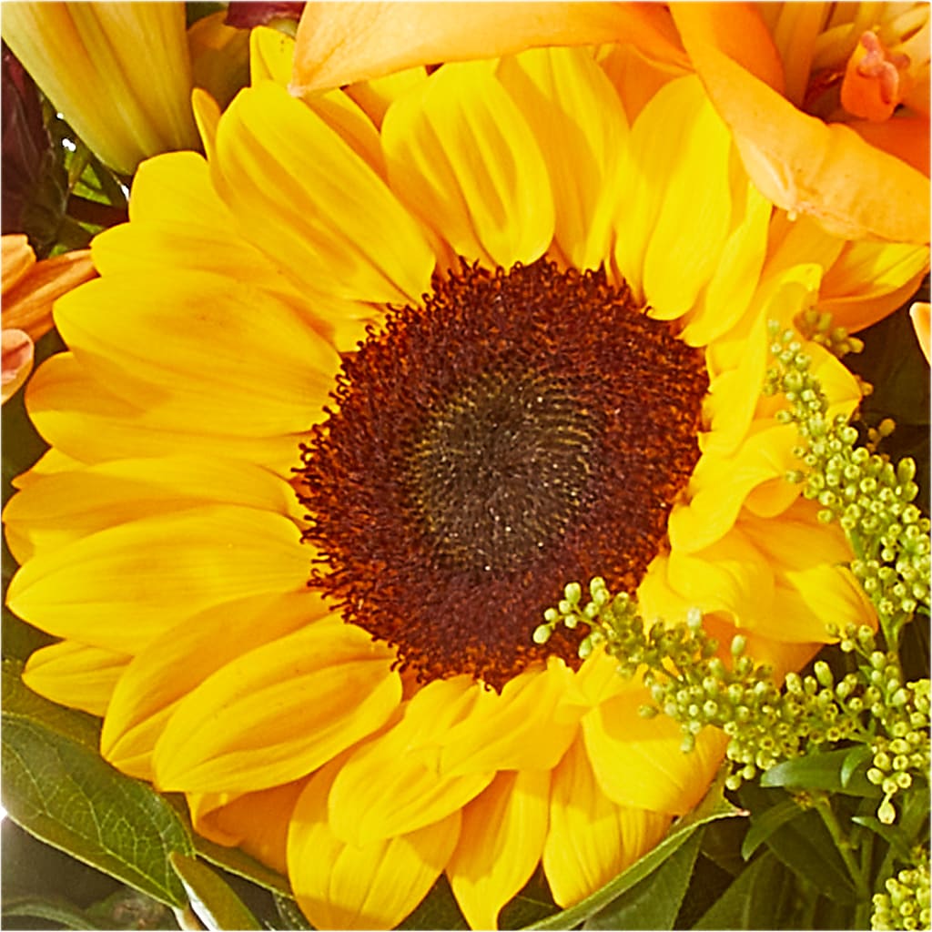 Seasons Change Bouquet –  Garlington Florist, New Bedford MA