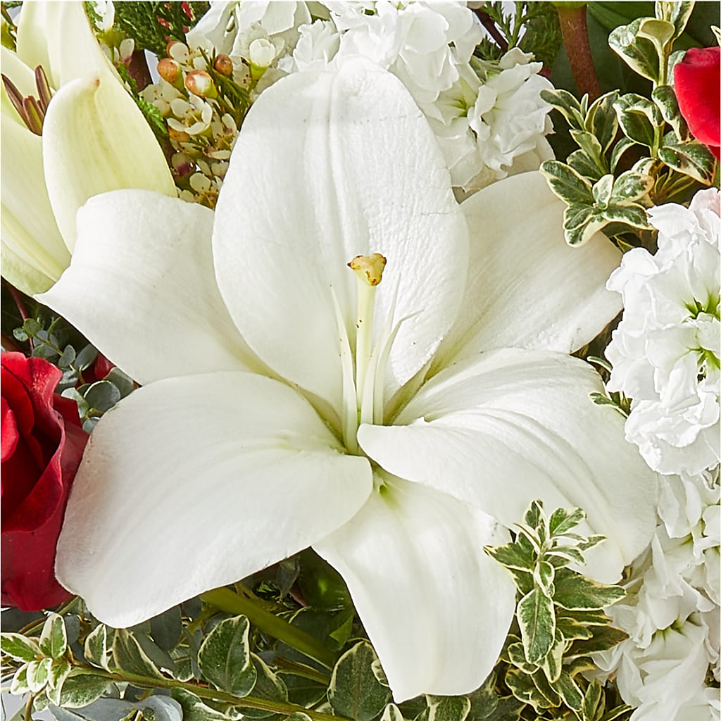 Twinkle Lights Bouquet –  Garlington Florist, New Bedford MA