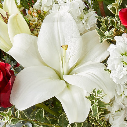 Twinkle Lights Bouquet –  Garlington Florist, New Bedford MA