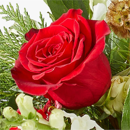 Deck the Halls Bouquet –  Garlington Florist, New Bedford MA