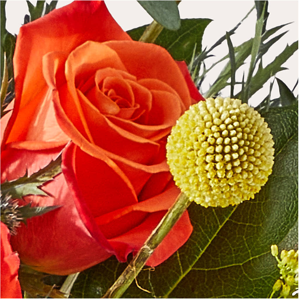 Disco Bouquet –  Garlington Florist, New Bedford MA