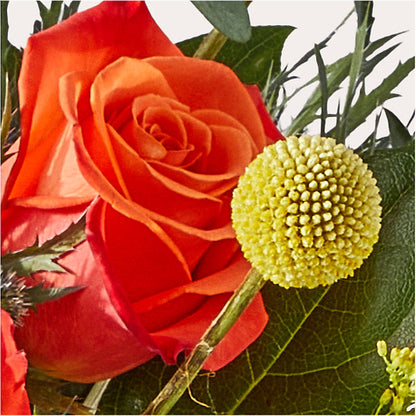 Disco Bouquet –  Garlington Florist, New Bedford MA