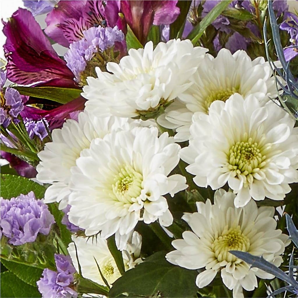 Shooting Star Bouquet –  Garlington Florist, New Bedford MA
