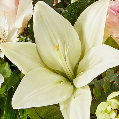 Ballet Slippers Bouquet –  Garlington Florist, New Bedford MA