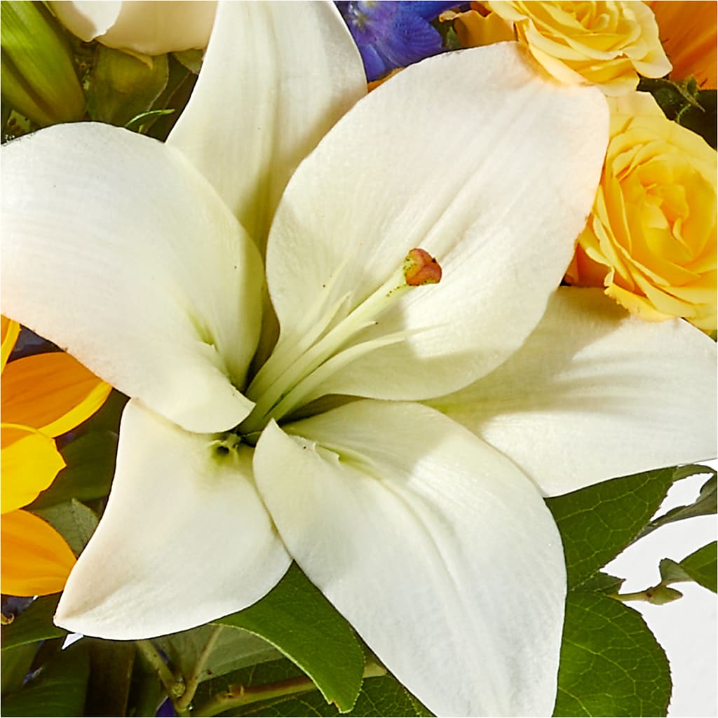 Wonderfully Sunny Bouquet –  Garlington Florist, New Bedford MA