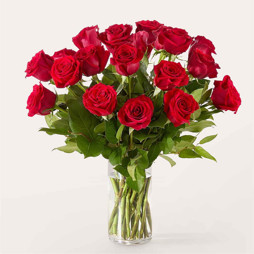 The One Red Rose Bouquet –  Garlington Florist, New Bedford MA