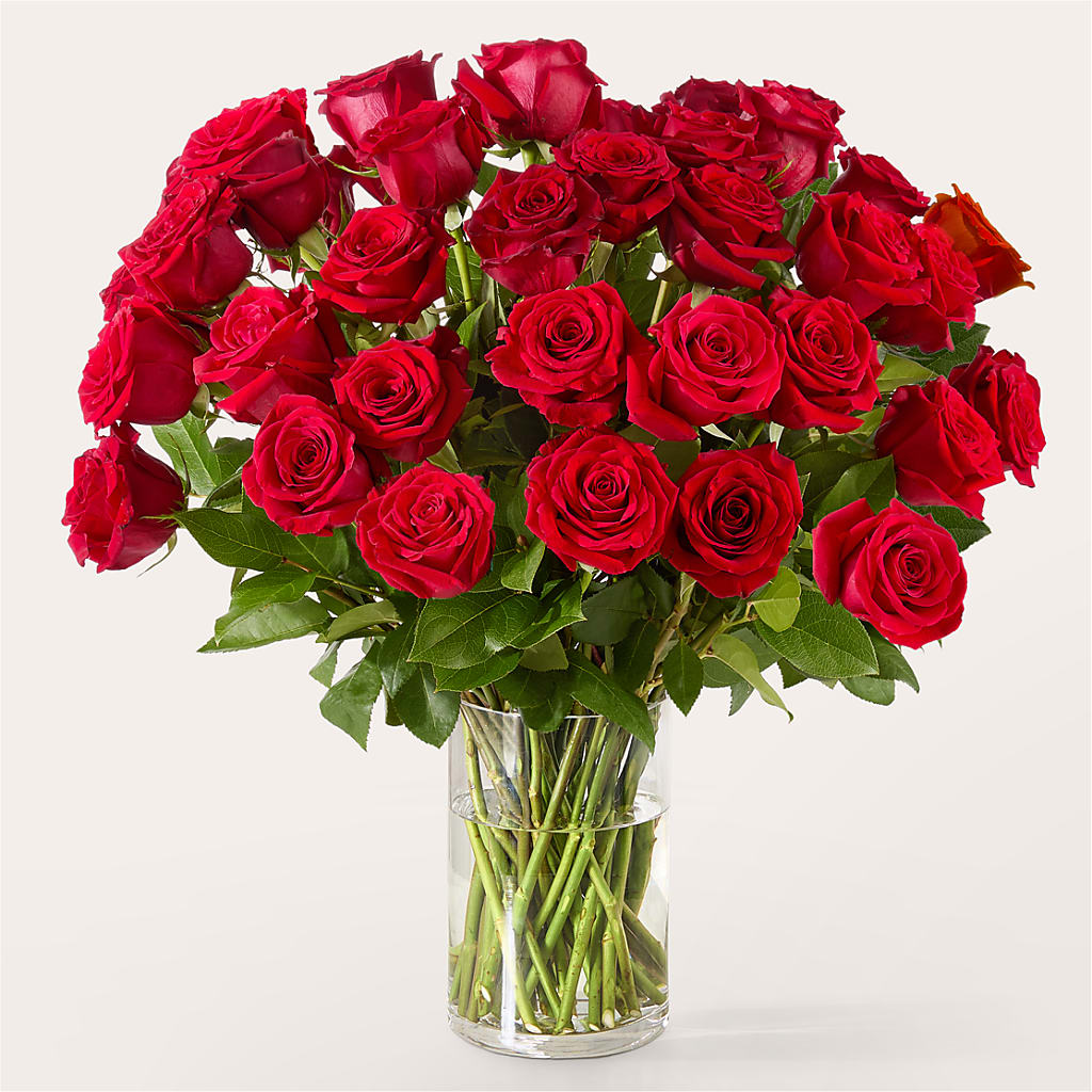 The One Red Rose Bouquet –  Garlington Florist, New Bedford MA