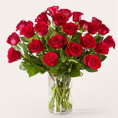 The One Red Rose Bouquet –  Garlington Florist, New Bedford MA