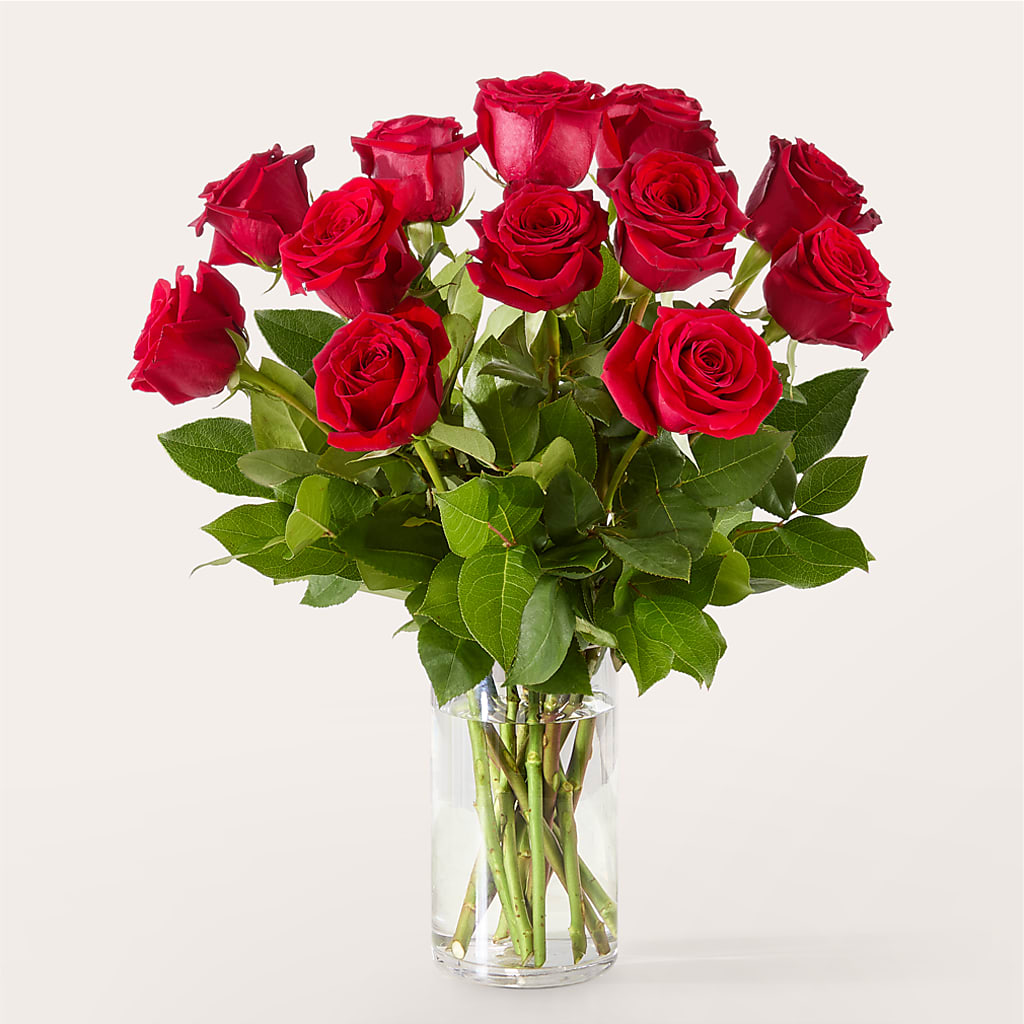 The One Red Rose Bouquet –  Garlington Florist, New Bedford MA