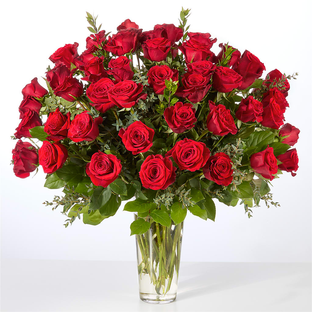 Forever Yours Fifty Stem Red Rose Bouquet –  Garlington Florist, New Bedford MA