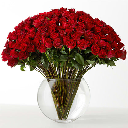The Idealist –  Garlington Florist, New Bedford MA