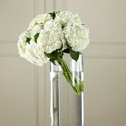 White Hydrangea Hand-Tied Bouquet –  Garlington Florist, New Bedford MA