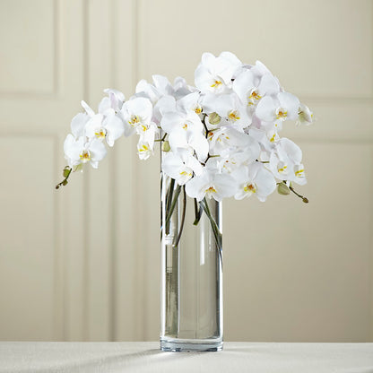 White Phalaenopsis Bouquet –  Garlington Florist, New Bedford MA