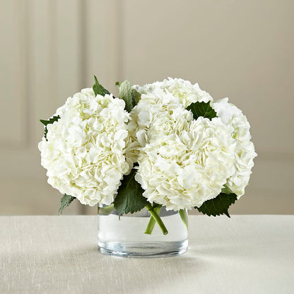 White Hydrangea Bouquet –  Garlington Florist, New Bedford MA